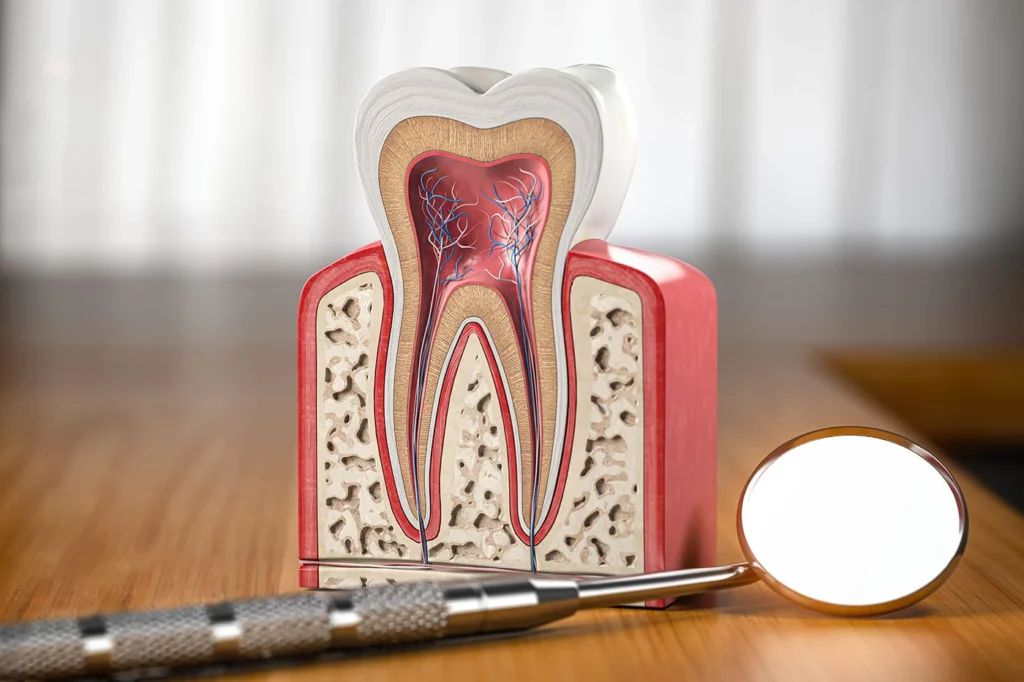 Odontostomatologiche